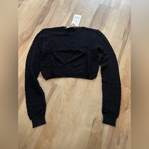 NWT Zara knit semi sheer black long sleeve crop top